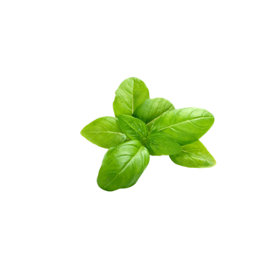 RootBioTec™ HW