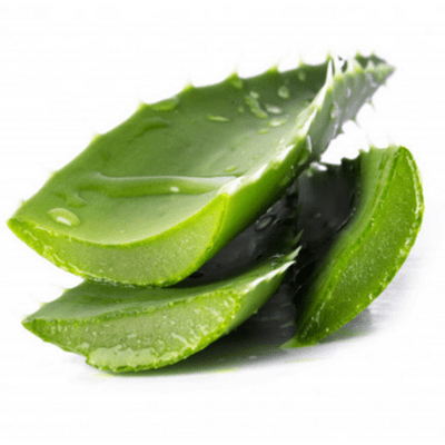 Aloe vera leveléből készült por